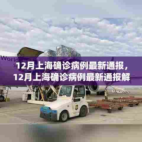 上海十二月确诊病例最新通报，解读与防疫指南更新发布