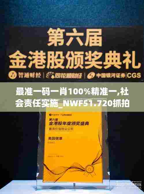 最准一码一肖100%精准一,社会责任实施_NWF51.720抓拍版