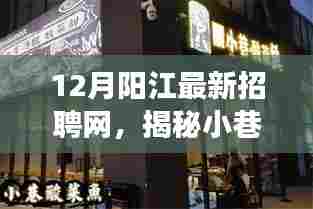 阳江招聘网探秘,小巷深处的宝藏与特色小店之旅