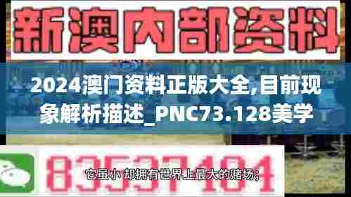 2024澳门资料正版大全,目前现象解析描述_PNC73.128美学版