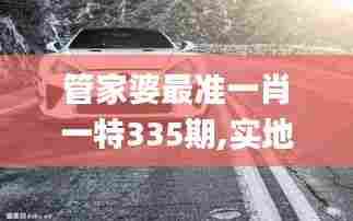 管家婆最准一肖一特335期,实地观察数据设计_ESQ52.893品味版