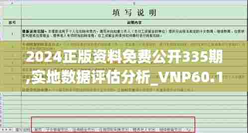 2024正版资料免费公开335期,实地数据评估分析_VNP60.139影像处理版