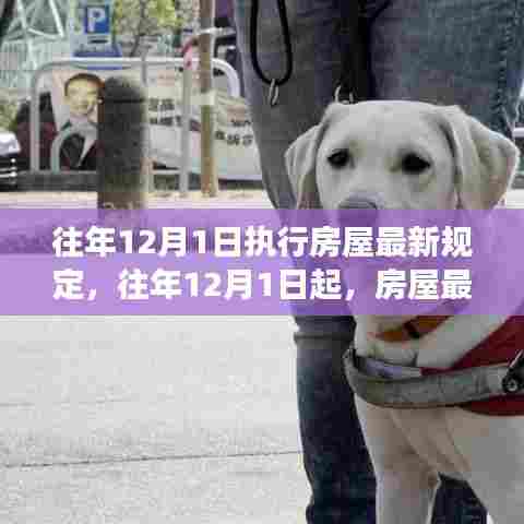 解读房屋最新规定三大要点,从往年12月1日起正式执行的影响分析