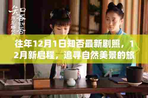 往年12月1日知否最新剧照,12月新启程,追寻自然美景的旅程,寻找内心的宁静与惊喜剧照瞬间