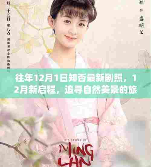 往年12月1日知否最新剧照,12月新启程,追寻自然美景的旅程,寻找内心的宁静与惊喜剧照瞬间