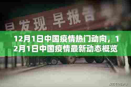 中国疫情最新动态概览(12月1日热门动向)