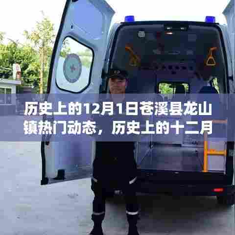历史上的十二月一日,苍溪县龙山镇热门动态回顾