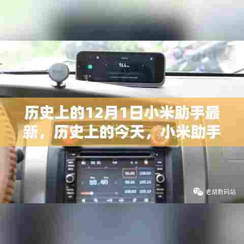 历史上的小米助手,励志启示与自信之光的闪耀时刻(附日期,12月1日最新资讯)