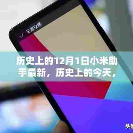 历史上的小米助手,励志启示与自信之光的闪耀时刻(附日期,12月1日最新资讯)