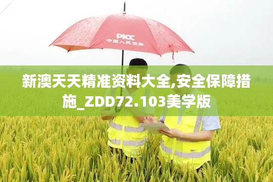 新澳天天精准资料大全,安全保障措施_ZDD72.103美学版