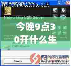今晚9点30开什么生肖明,策略调整改进_SBD97.954远程版