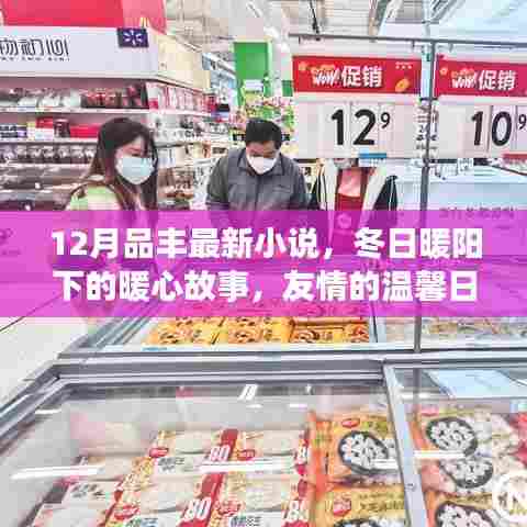 冬日暖阳下的品丰最新小说，友情温馨日常与奇妙缘分的暖心故事