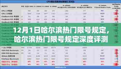 哈尔滨热门限号规定深度解析,用户体验与最新动向分析