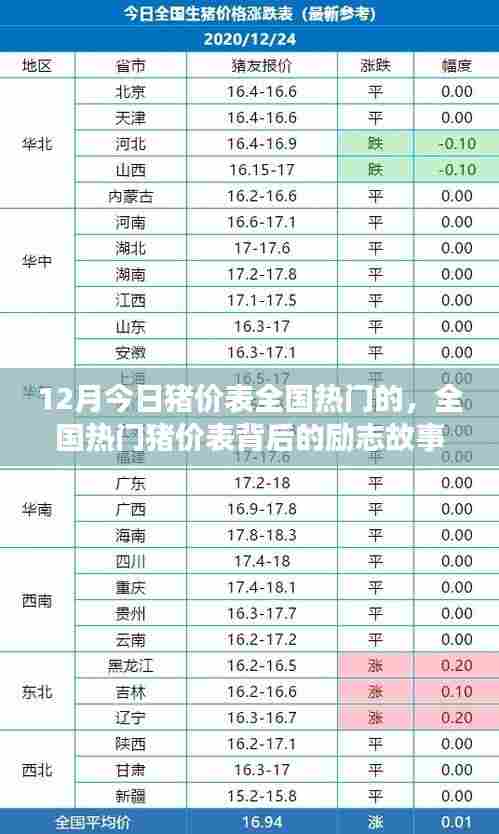 全国热门猪价表背后的励志故事,变化、学习与自信的魔力,最新十二月猪价表揭秘
