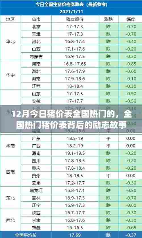 全国热门猪价表背后的励志故事,变化、学习与自信的魔力,最新十二月猪价表揭秘