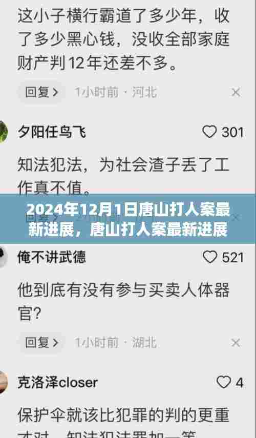 唐山打人案最新进展，自然之旅带来内心的宁静与和谐（2024年12月）