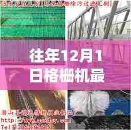 格栅时光之旅，探索自然美景，寻找内心平静的新纪元