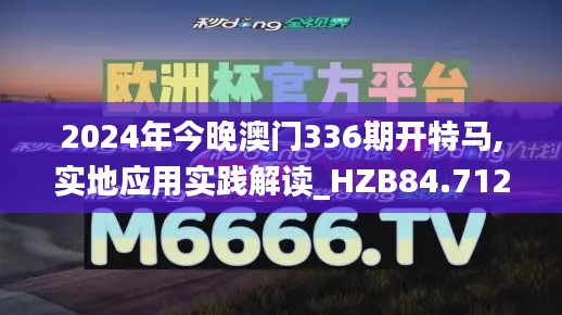 2024年今晚澳门336期开特马,实地应用实践解读_HZB84.712闪电版