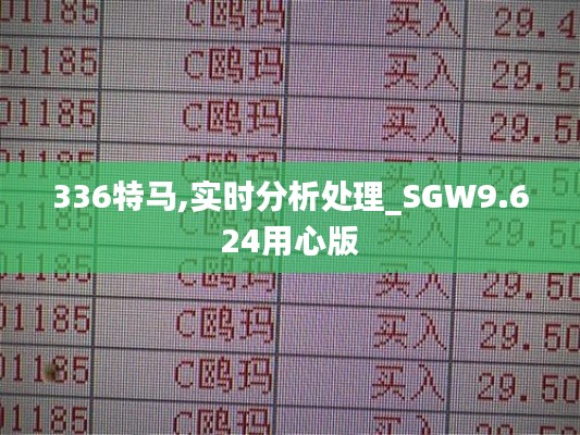 336特马,实时分析处理_SGW9.624用心版