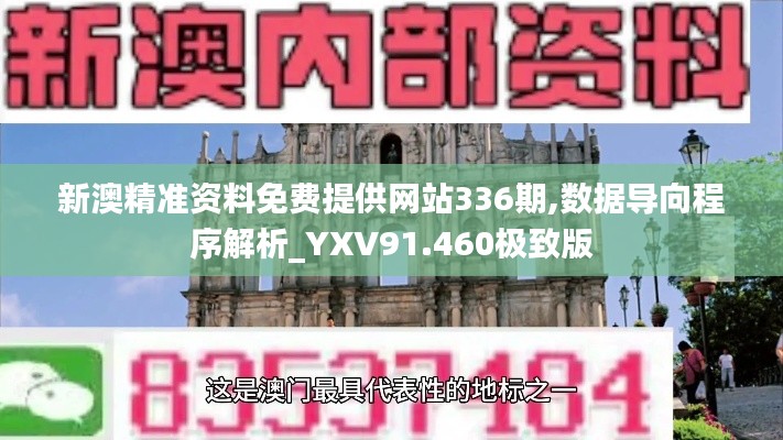 新澳精准资料免费提供网站336期,数据导向程序解析_YXV91.460极致版