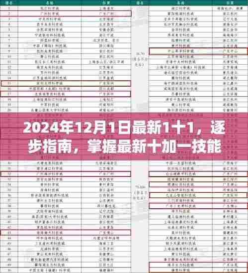 初学者与进阶用户指南,掌握最新十加一技能,逐步指南到操作手册