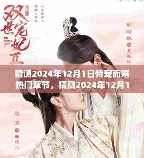 2024年婚恋风暴,恃宠而婚热门章节浪漫来袭
