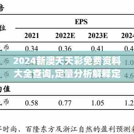 2024新澳天天彩免费资料大全查询,定量分析解释定义_36073.516-5