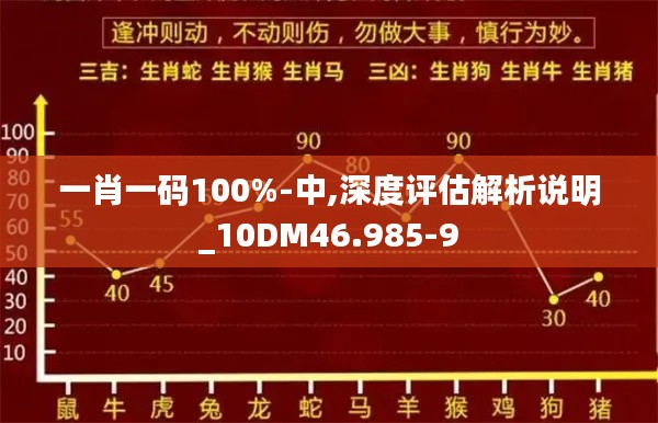 一肖一码100%-中,深度评估解析说明_10DM46.985-9
