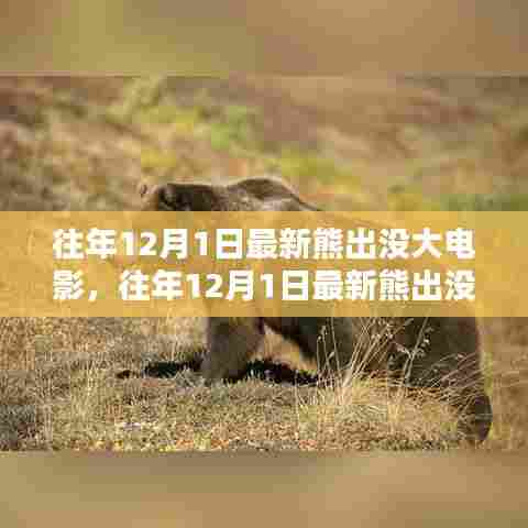 往年12月1日最新熊出没大电影深度解析与期待