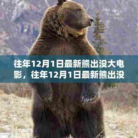 往年12月1日最新熊出没大电影深度解析与期待