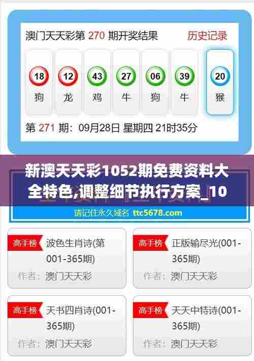 新澳天天彩1052期免费资料大全特色,调整细节执行方案_10DM67.426-6
