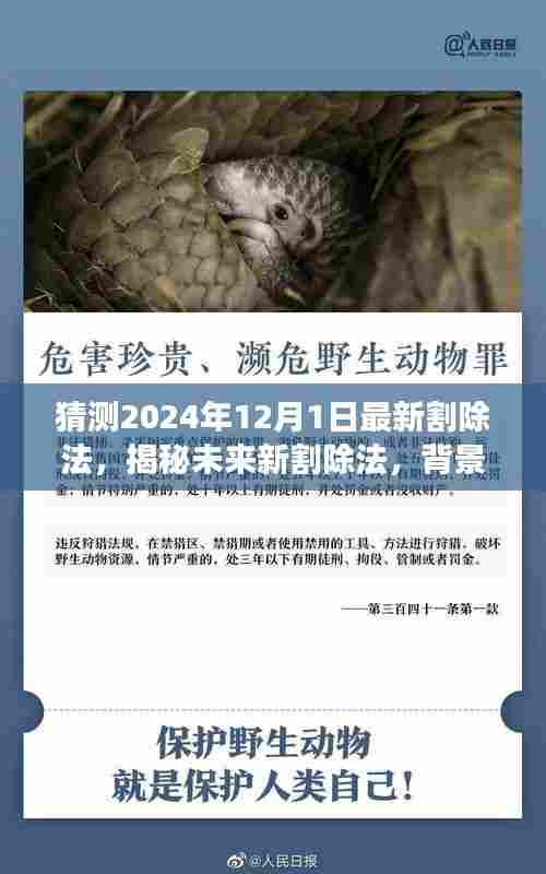 揭秘未来新割除法,背景、事件、影响与时代洞察(预测至2024年12月1日)