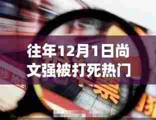 往年12月1日尚文强被打死事件深度解读与全面分析进展