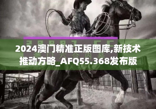 2024澳门精准正版图库,新技术推动方略_AFQ55.368发布版