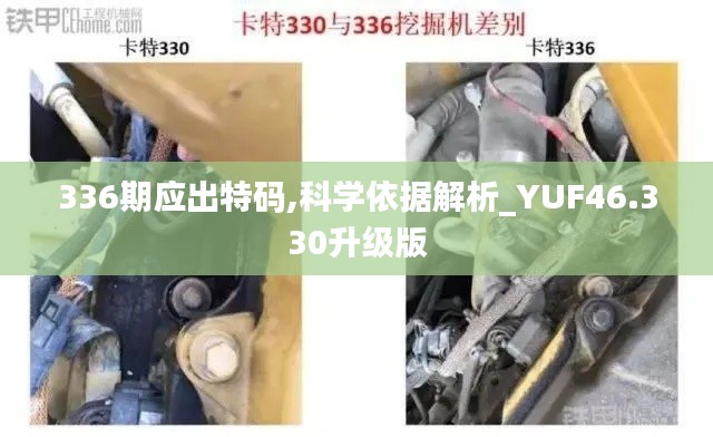 336期应出特码,科学依据解析_YUF46.330升级版