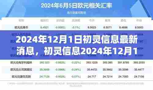 初灵信息最新动态，友情与陪伴的温馨日常（2024年12月1日）