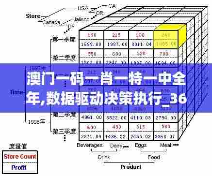 澳门一码一肖一特一中全年,数据驱动决策执行_36011.450-5