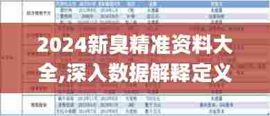 2024新臭精准资料大全,深入数据解释定义_36058.451-8
