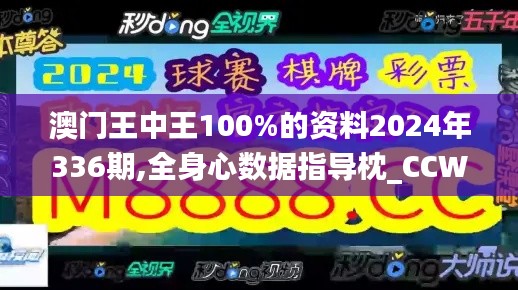 澳门王中王100%的资料2024年336期,全身心数据指导枕_CCW55.260仿真版