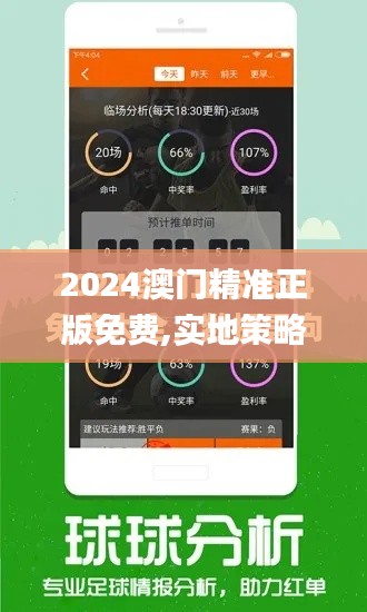 2024澳门精准正版免费,实地策略计划验证_3625.589-6