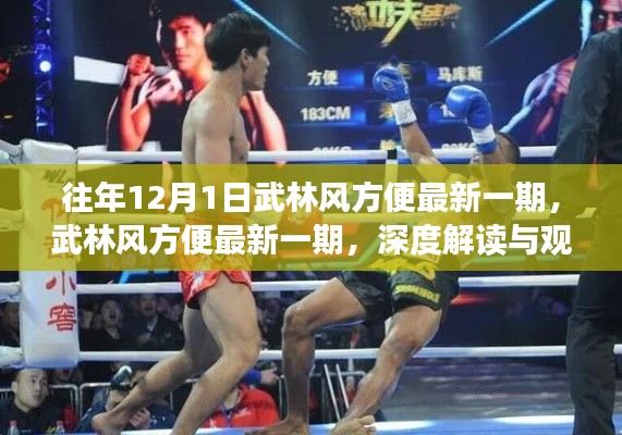 武林风方便最新一期深度解读与观点碰撞,历年回顾与最新动态分析