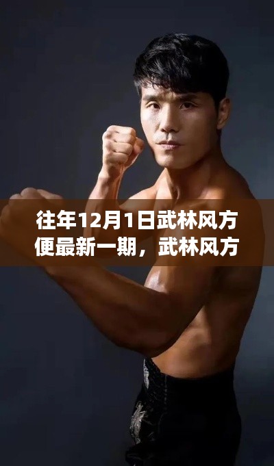 武林风方便最新一期深度解读与观点碰撞,历年回顾与最新动态分析