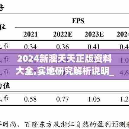 2024新澳天天正版资料大全,实地研究解析说明_36083.399-5