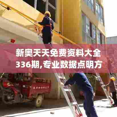 新奥天天免费资料大全336期,专业数据点明方法_WHG74.237梦想版