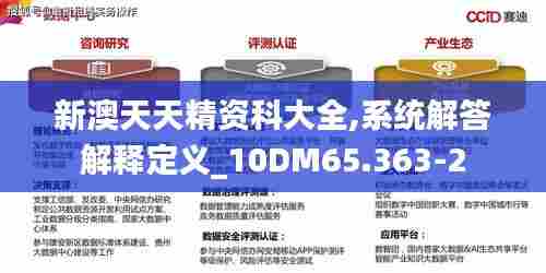 新澳天天精资科大全,系统解答解释定义_10DM65.363-2