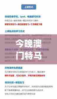 今晚澳门特马开什么今晚四不像,深度策略应用数据_1080p41.176-5