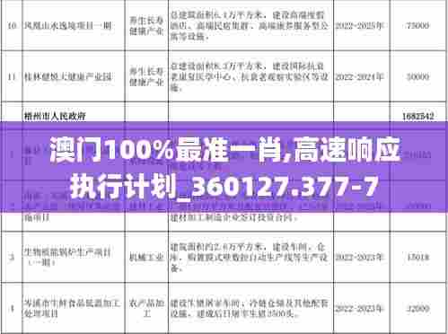 澳门100%最准一肖,高速响应执行计划_360127.377-7