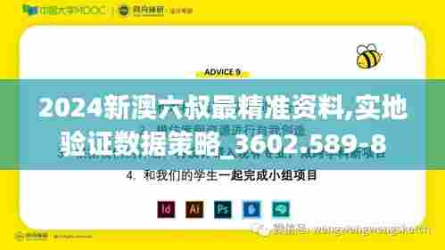 2024新澳六叔最精准资料,实地验证数据策略_3602.589-8