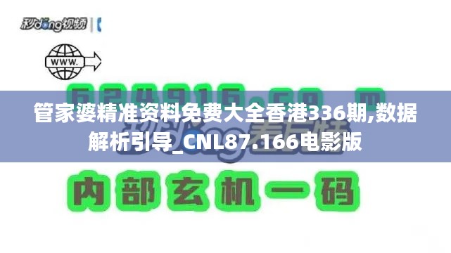 管家婆精准资料免费大全香港336期,数据解析引导_CNL87.166电影版