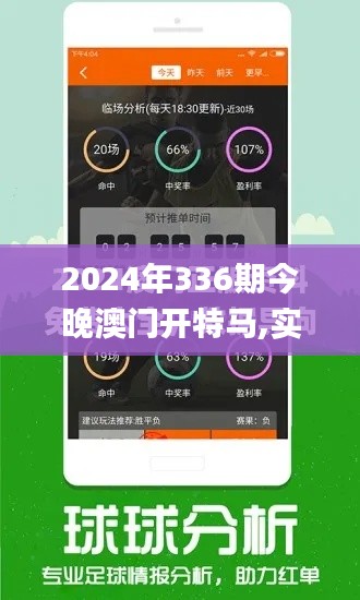 2024年336期今晚澳门开特马,实地验证策略具体_EBO5.989网络版